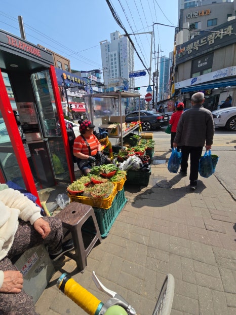 만나만두 사진 7