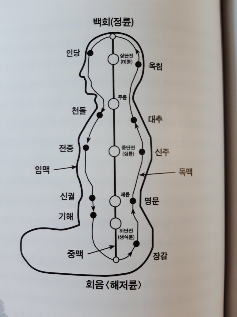 참조자연치유 이미지