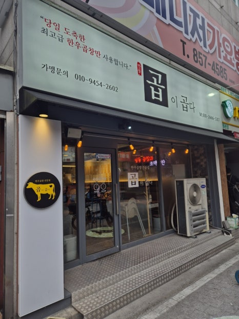 곱이곱다 안동점 이미지