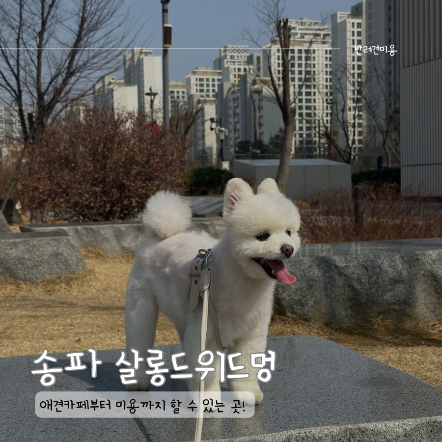 살롱드위드 이미지