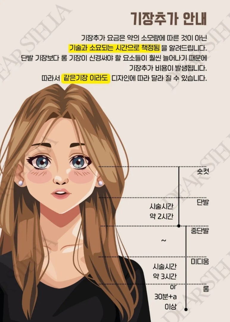 헤어스텔라 이미지