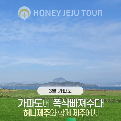 제주다정여행사 이미지