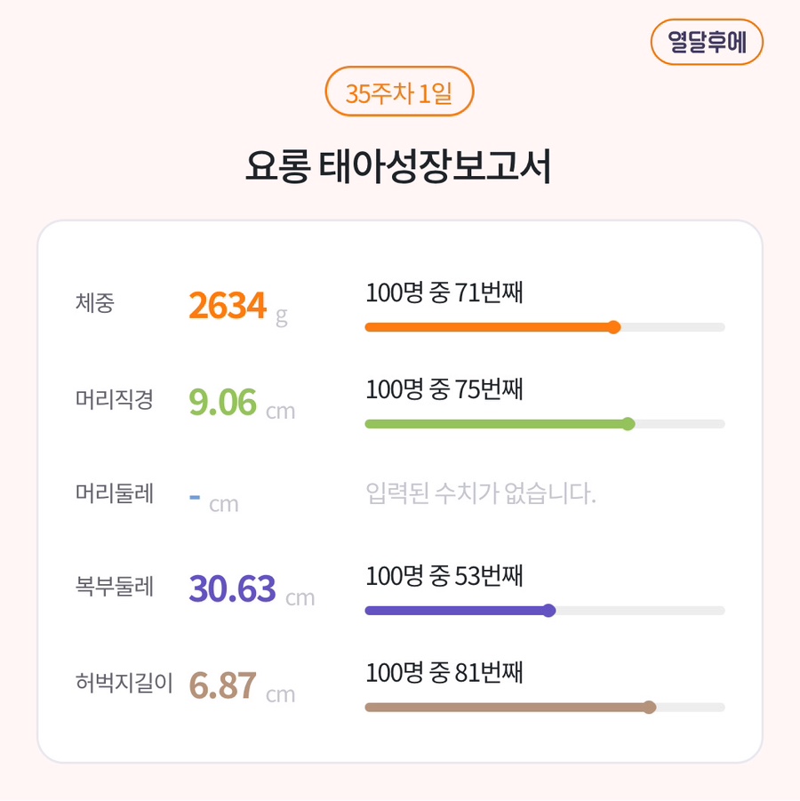 버섯나라 이미지