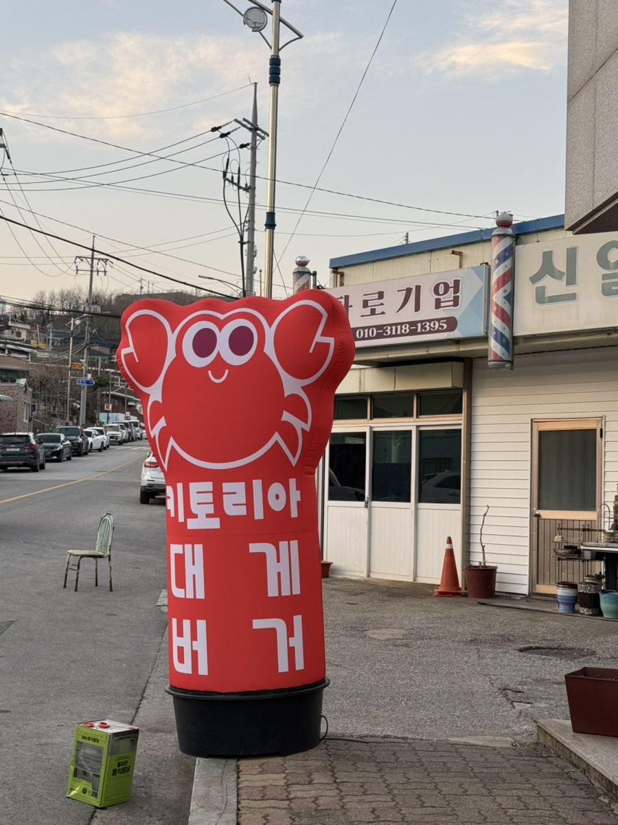 키토리아 이미지