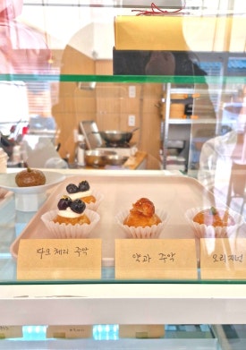 가야미과 이미지