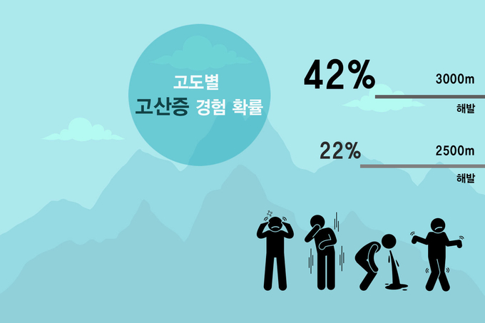 트립올라 이미지
