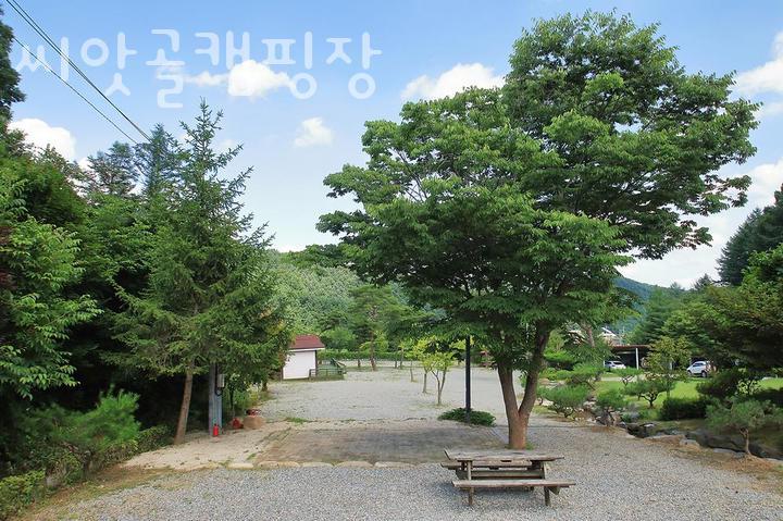 씨앗골캠핑장 이미지