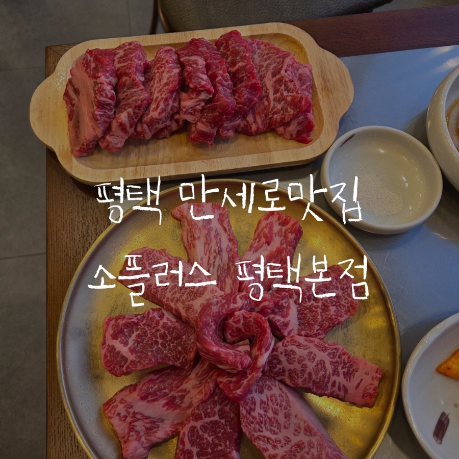 소플러스 평택본점 이미지