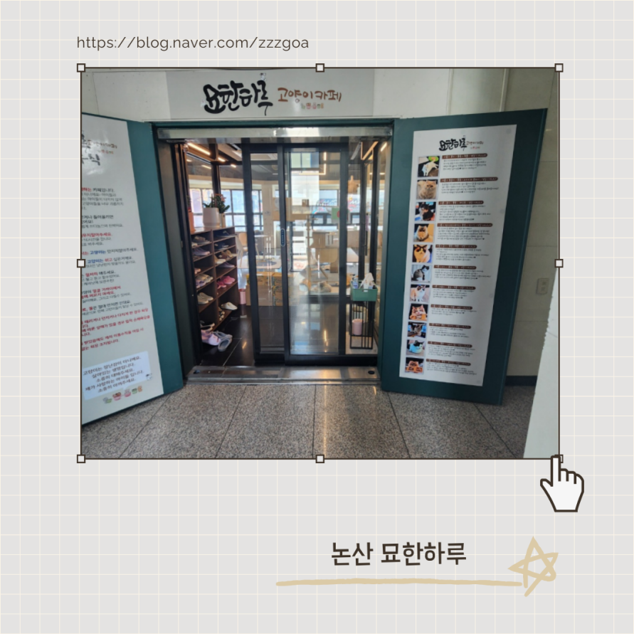 묘한하루 이미지