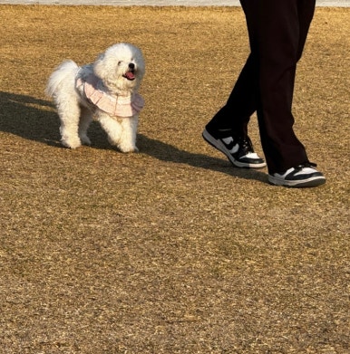 복자푸드 이미지