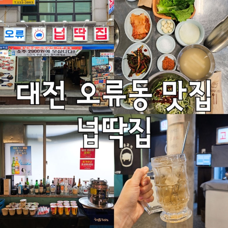 넙딱집대전 이미지