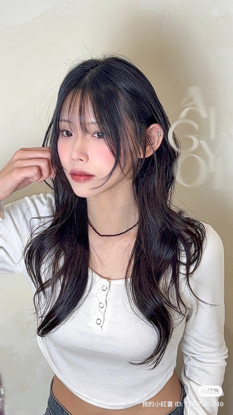 아르결 이미지