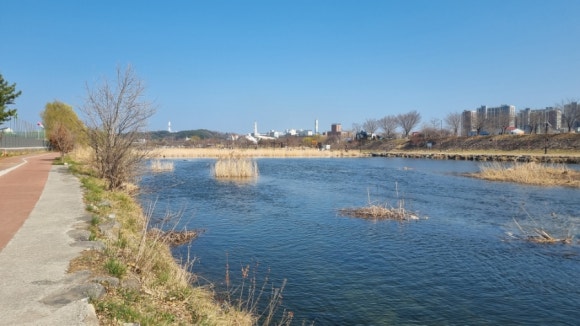 해파랑길 33코스 이미지