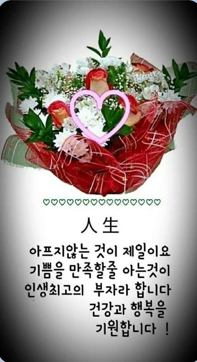 대성산업중기 이미지