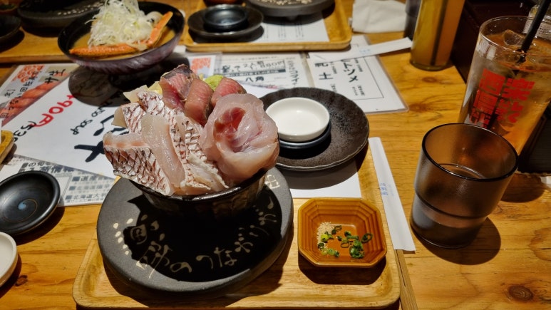 양하치 이미지