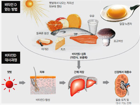 비타민수산 이미지