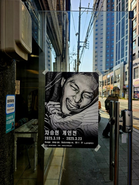 노실리콜렉트 이미지