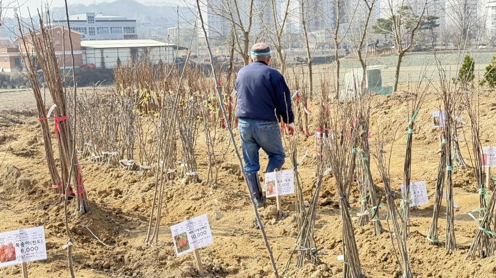 임실군산림조합 임산물판매센터 이미지