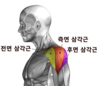 유디티짐 이미지
