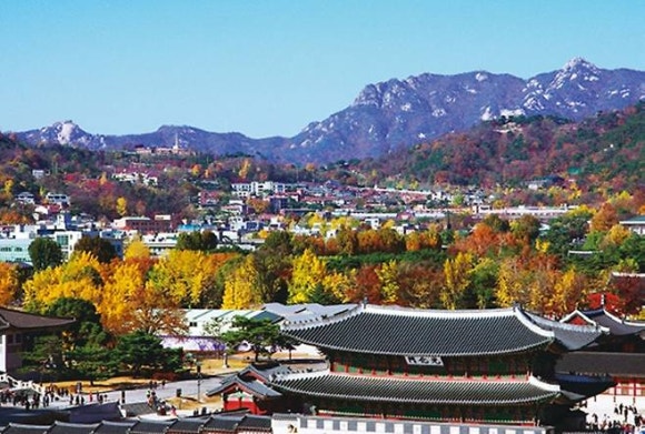 숲750 이미지