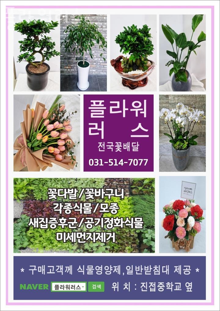 플라워러스 이미지