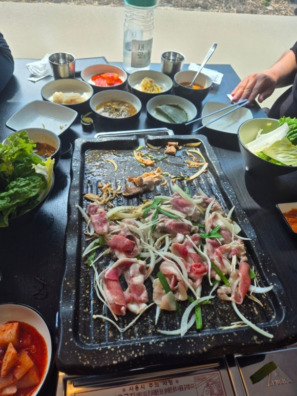 수석오리 이미지