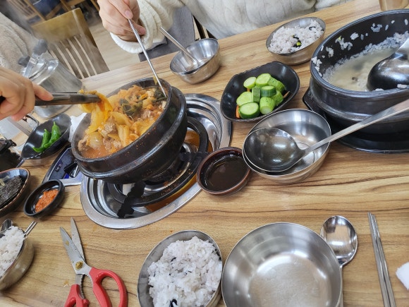 플로리포레 이미지