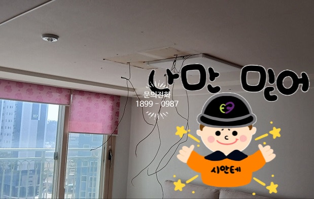 이안전기조명 이미지