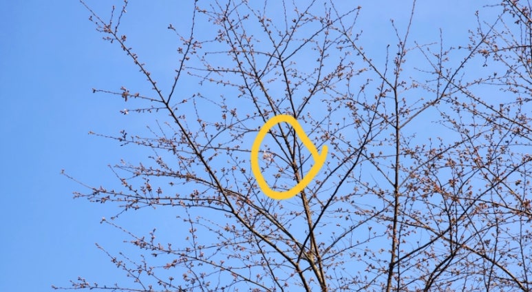 어쩌다꽃 이미지