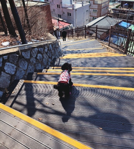 숭인신발 이미지