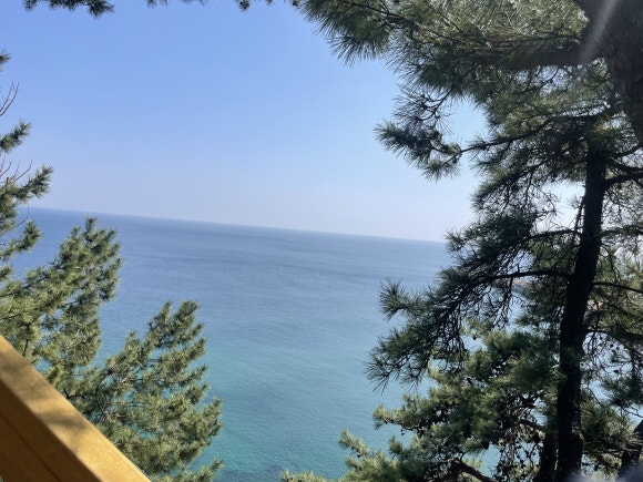 잔디수산 이미지