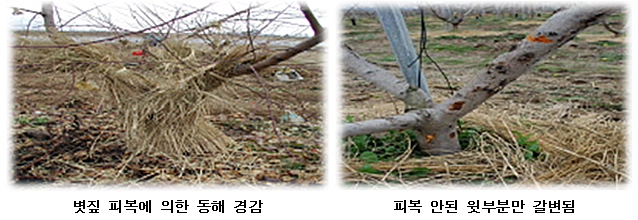 동해기술 이미지
