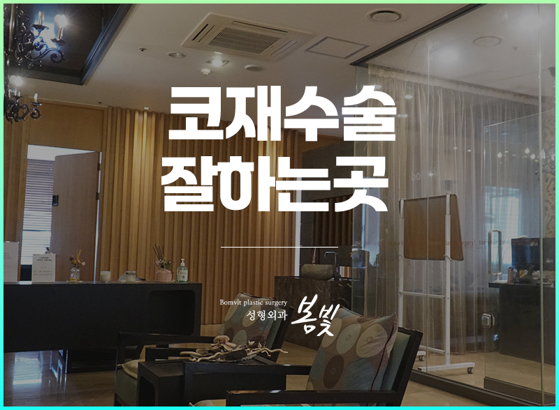 봄빛성형외과의원 이미지