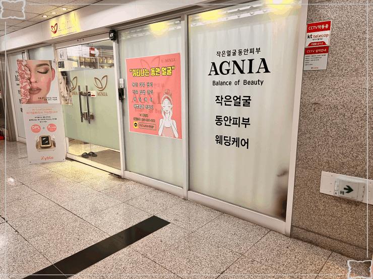 아그니아 이미지