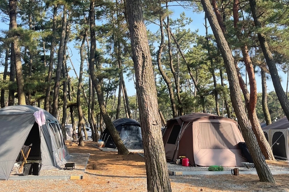 태안별빛오토캠핑장 이미지