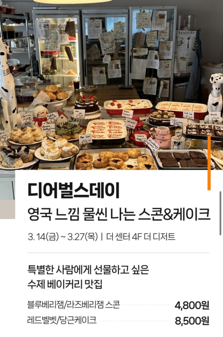 디어벌스데이 이미지