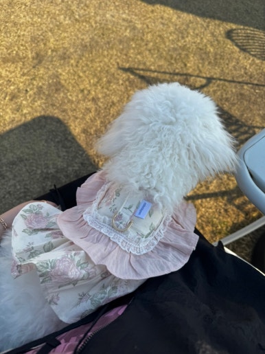 복자푸드 이미지