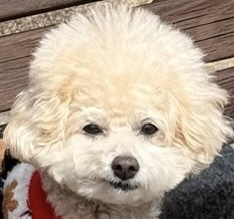 먹짝 이미지