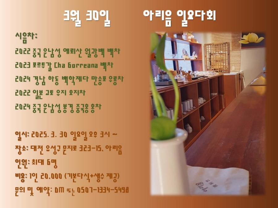 아리음 이미지