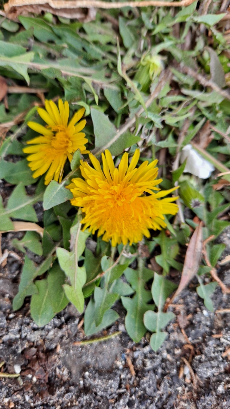 (주)세찬 이미지