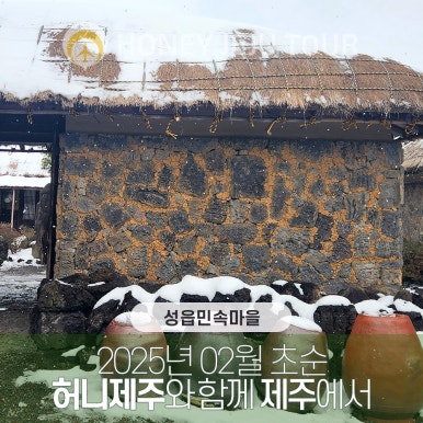 제주다정여행사 이미지