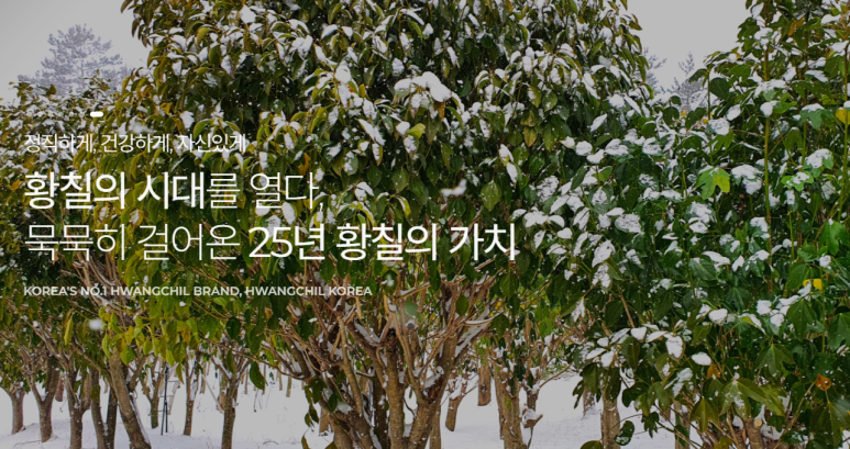 농업회사법인 (주)황칠코리아 이미지