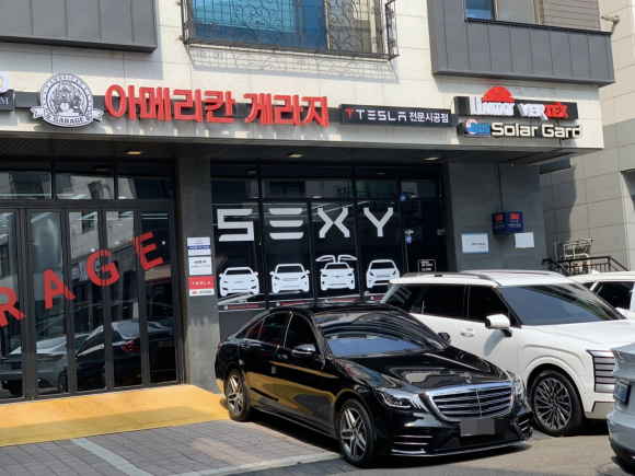 아메리칸게라지 이미지