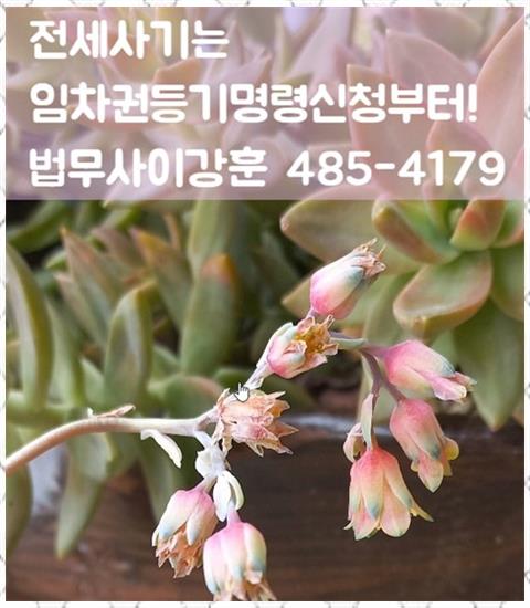 법무사이강훈사무소 이미지
