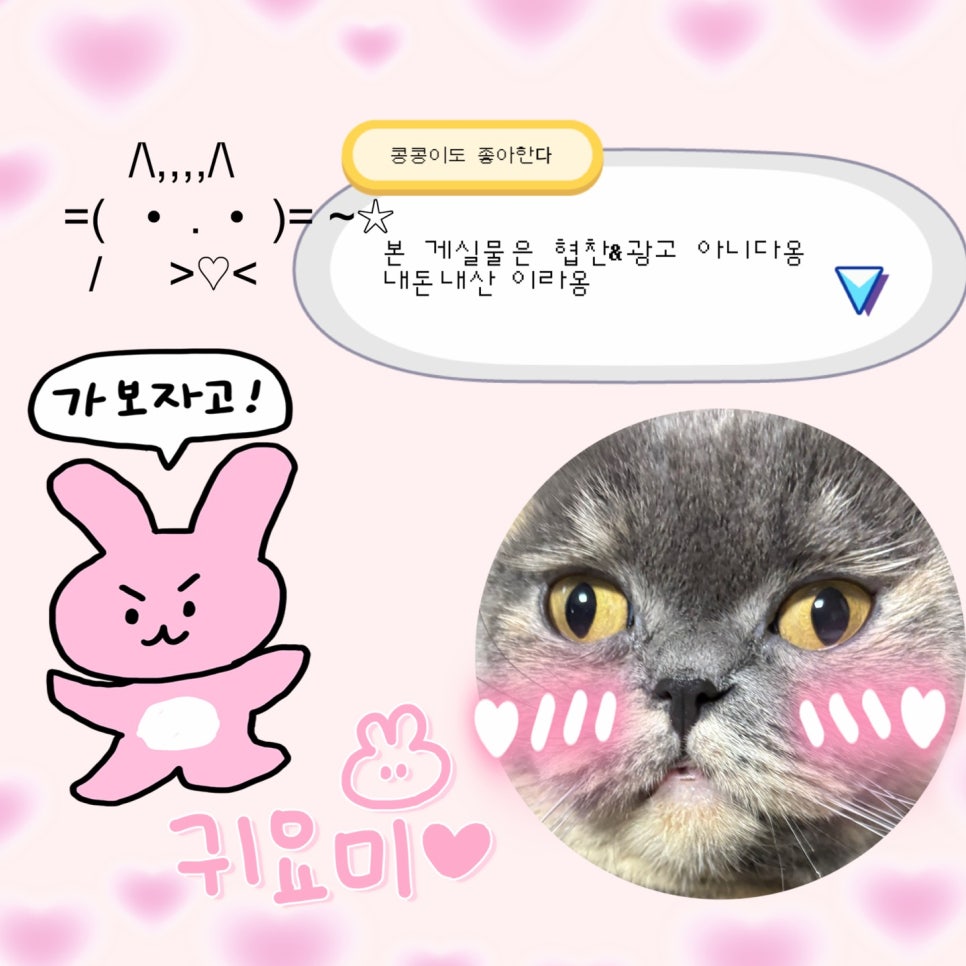 최부짱 이미지