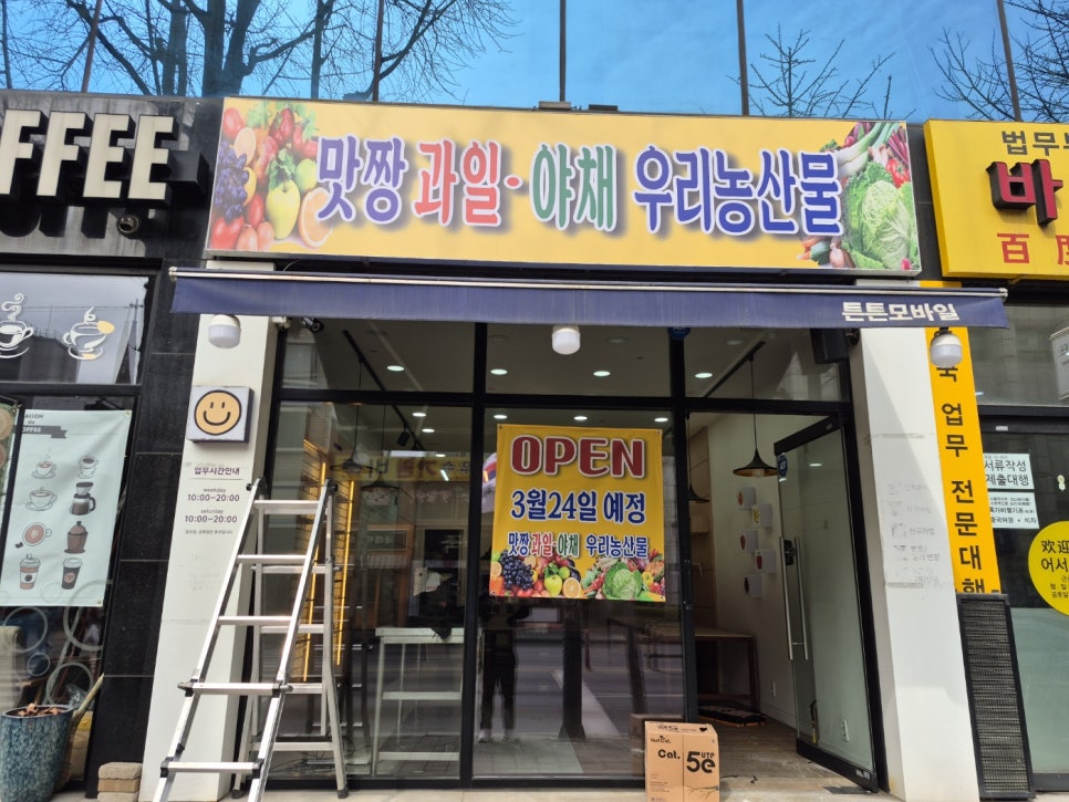 동일청과 이미지