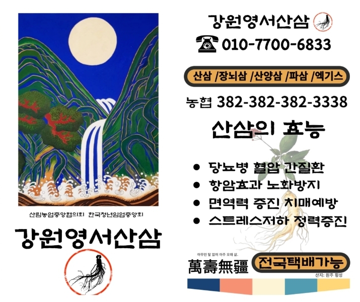 강원산양삼 이미지