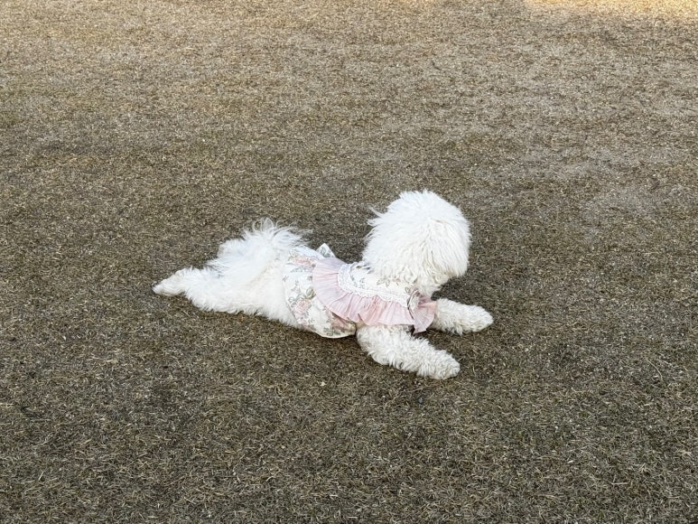 복자푸드 이미지