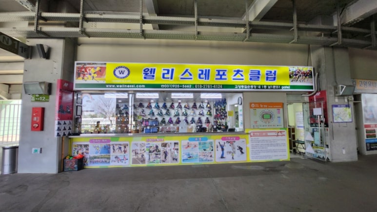 웰니스레포츠 이미지