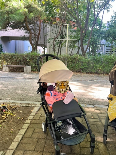 스타벅스커피 일산주엽점 이미지